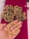 slim size round ketti kodi sm25